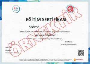 Aşçı Yardımcılığı Eğitimi Sertifikası Örneği