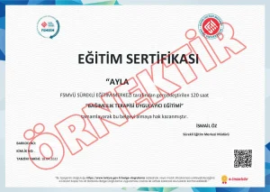 Bağımlılık Terapisi Eğitimi Sertifikası Örneği