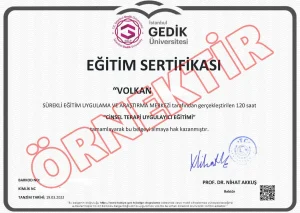 Cinsel Terapi Eğitimi Sertifikası Örneği
