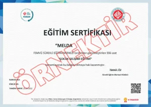 Çocuk Gelişimi Eğitimi Sertifikası Örneği