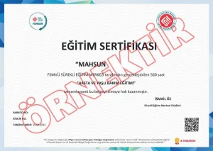 Hasta Yaşlı Bakım Eğitimi Sertifikası Örneği
