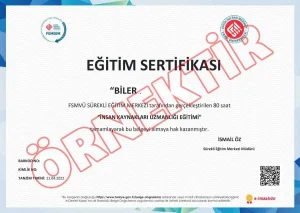 İnsan Kaynakları Eğitimi Sertifikası Örneği