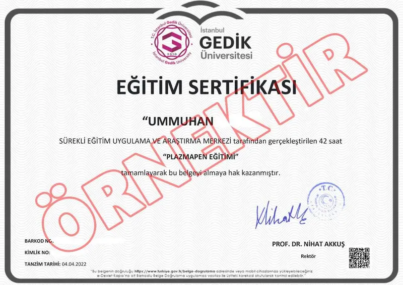 plazma pen egitimi sertifikasi ornegi optimized